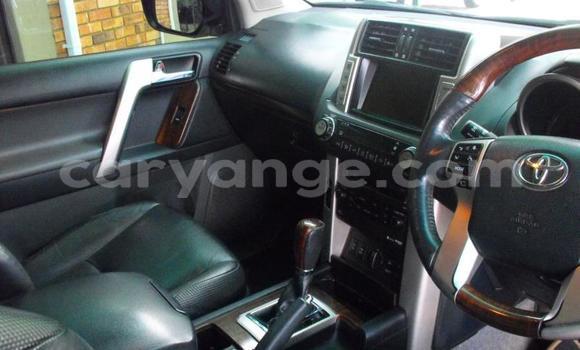 Buy Used Toyota Land Cruiser Prado White Car in Windhoek in Namibia Buy Used Toyota Land Cruiser Prado White Car in Windhoek in Namibia