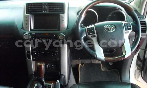 Buy Used Toyota Land Cruiser Prado White Car in Windhoek in Namibia Buy Used Toyota Land Cruiser Prado White Car in Windhoek in Namibia