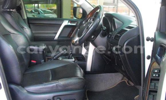 Buy Used Toyota Land Cruiser Prado White Car in Windhoek in Namibia Buy Used Toyota Land Cruiser Prado White Car in Windhoek in Namibia