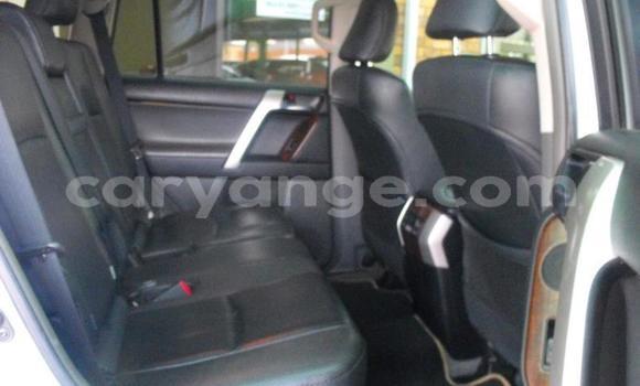 Buy Used Toyota Land Cruiser Prado White Car in Windhoek in Namibia Buy Used Toyota Land Cruiser Prado White Car in Windhoek in Namibia