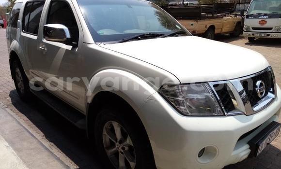 Buy Used Nissan Pathfinder White Car in Windhoek in Namibia