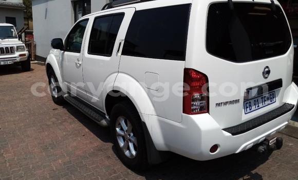 Acheter Occasion Voiture Nissan Pathfinder Blanc à Windhoek, Namibie Acheter Occasion Voiture Nissan Pathfinder Blanc à Windhoek, Namibie