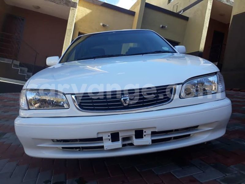 Big with watermark 30623955 578122035882356 6857030771144654848 n