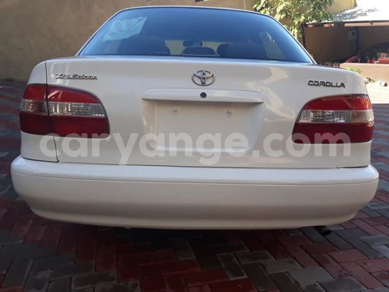 Big with watermark 30629329 194112211393369 244064733525704704 n