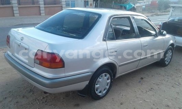 Buy Used Toyota Corolla Silver Car in Windhoek in Namibia Buy Used Toyota Corolla Silver Car in Windhoek in Namibia