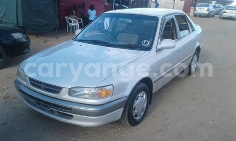 Big with watermark 30705011 1080215435450894 1812932972978896896 n