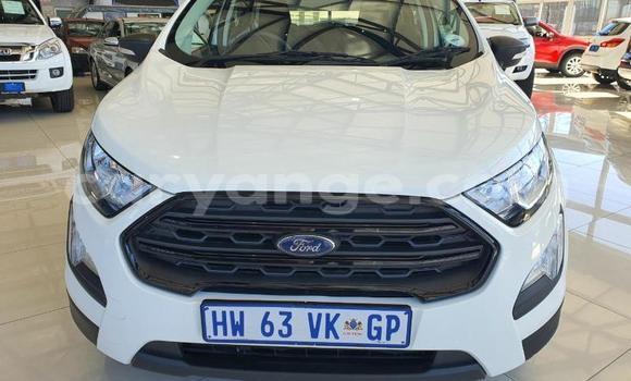 Buy Used Ford EcoSport White Car in Windhoek in Namibia