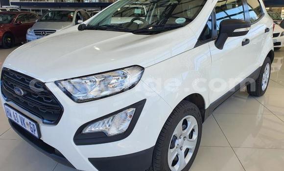 Acheter Occasion Voiture Ford EcoSport Blanc à Windhoek, Namibie Acheter Occasion Voiture Ford EcoSport Blanc à Windhoek, Namibie