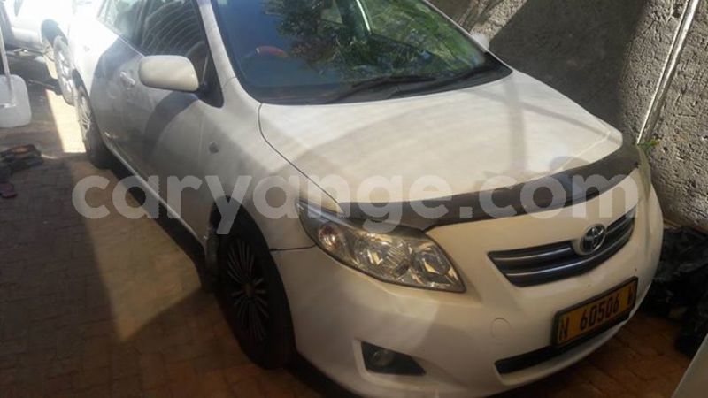 Big with watermark 30623955 578122035882356 6857030771144654848 n