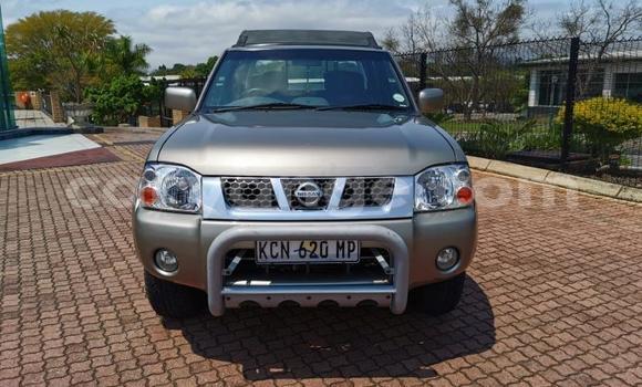 Buy Used Nissan Hardbody Brown Car in Windhoek in Namibia Buy Used Nissan Hardbody Brown Car in Windhoek in Namibia