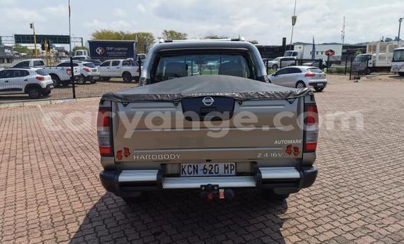 Buy Used Nissan Hardbody Brown Car in Windhoek in Namibia Buy Used Nissan Hardbody Brown Car in Windhoek in Namibia