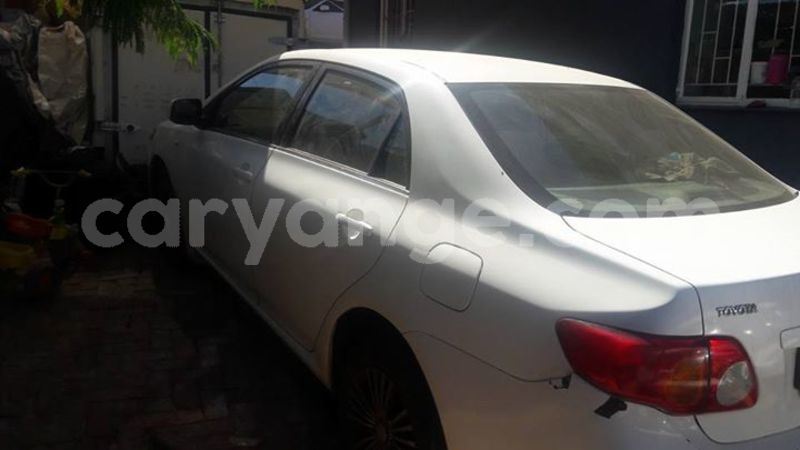 Big with watermark 30629329 194112211393369 244064733525704704 n