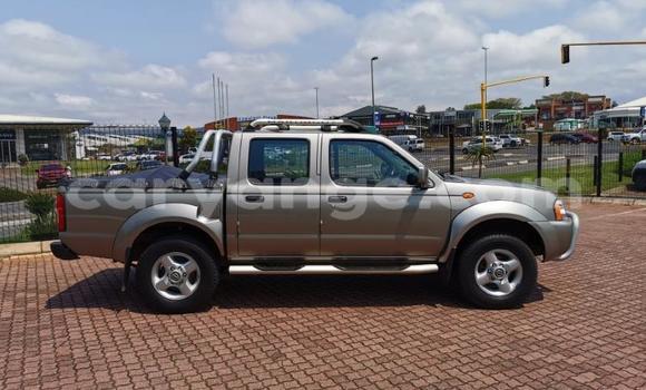 Buy Used Nissan Hardbody Brown Car in Windhoek in Namibia Buy Used Nissan Hardbody Brown Car in Windhoek in Namibia