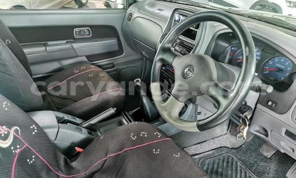 Buy Used Nissan Hardbody Brown Car in Windhoek in Namibia Buy Used Nissan Hardbody Brown Car in Windhoek in Namibia