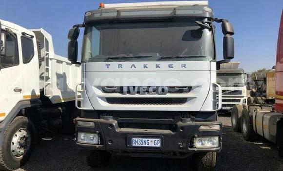 Buy Used Iveco Cargo White Truck in Windhoek in Namibia