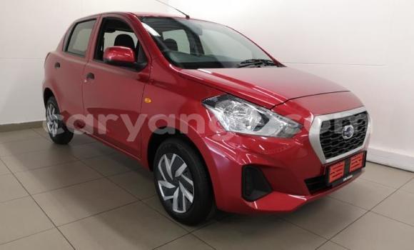 Buy Used Datsun GO Red Car in Windhoek in Namibia