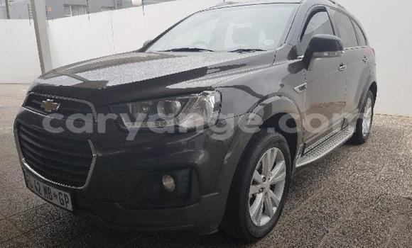 Acheter Occasion Voiture Chevrolet Captiva Gris à Windhoek, Namibie Acheter Occasion Voiture Chevrolet Captiva Gris à Windhoek, Namibie
