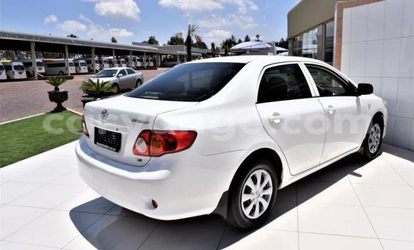 Buy Used Toyota Corolla White Car in Windhoek in Namibia Buy Used Toyota Corolla White Car in Windhoek in Namibia