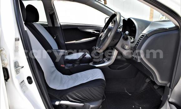 Buy Used Toyota Corolla White Car in Windhoek in Namibia Buy Used Toyota Corolla White Car in Windhoek in Namibia