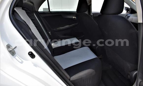 Buy Used Toyota Corolla White Car in Windhoek in Namibia Buy Used Toyota Corolla White Car in Windhoek in Namibia
