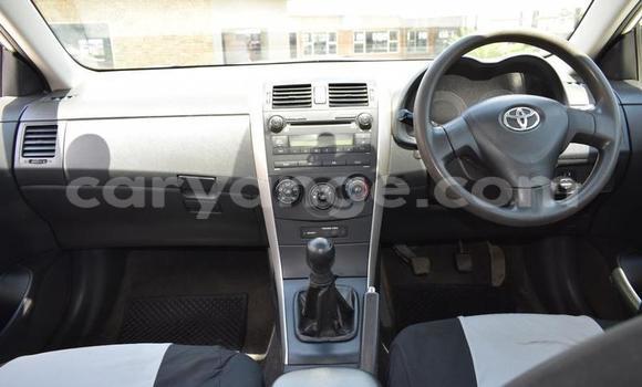 Buy Used Toyota Corolla White Car in Windhoek in Namibia Buy Used Toyota Corolla White Car in Windhoek in Namibia
