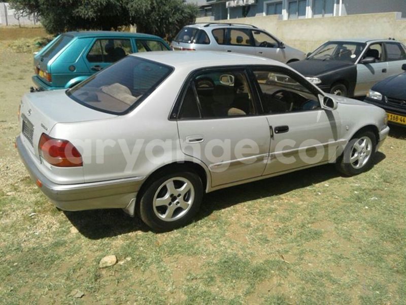 Big with watermark 12983186 10209462193098066 8262752500062922557 o