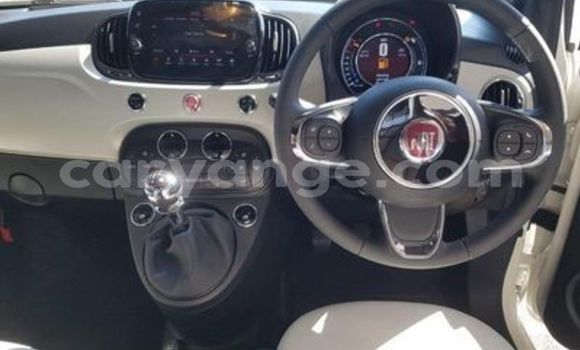 Buy Used Fiat 500 White Car in Windhoek in Namibia Buy Used Fiat 500 White Car in Windhoek in Namibia