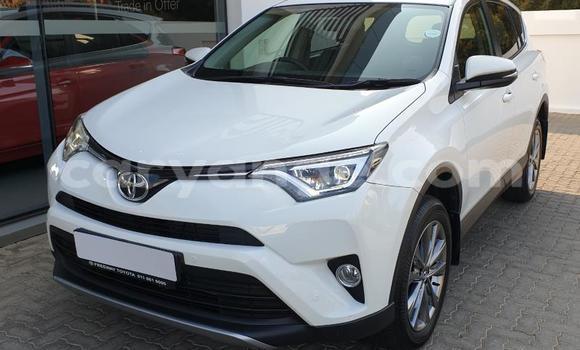 Buy Used Toyota RAV4 White Car in Gobabis in Omaheke