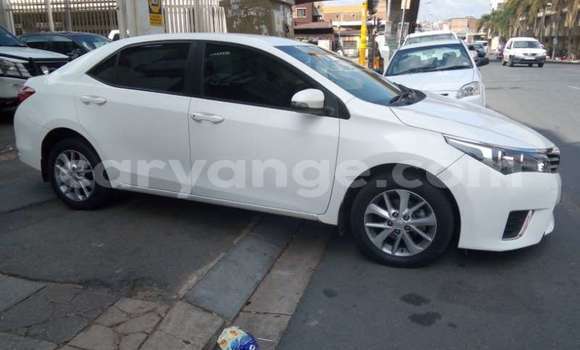 Acheter Occasion Voiture Toyota Corolla Blanc à Windhoek, Namibie Acheter Occasion Voiture Toyota Corolla Blanc à Windhoek, Namibie