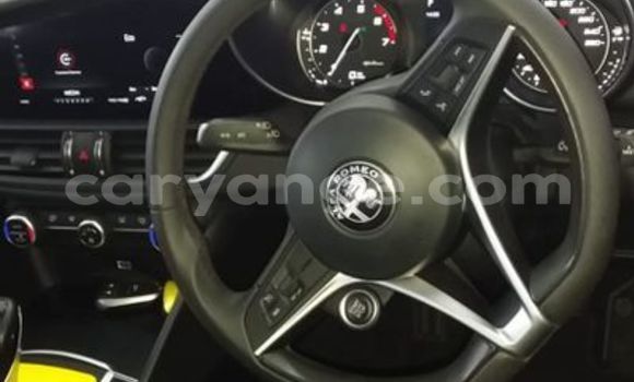 Buy Used Alfa Romeo Giulia White Car in Windhoek in Namibia