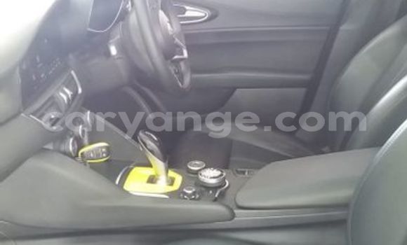 Buy Used Alfa Romeo Giulia White Car in Windhoek in Namibia Buy Used Alfa Romeo Giulia White Car in Windhoek in Namibia