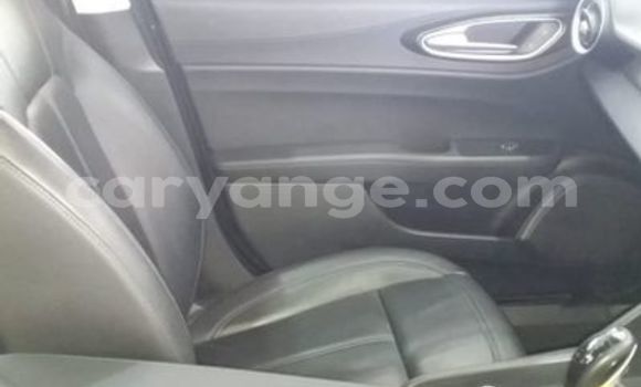 Buy Used Alfa Romeo Giulia White Car in Windhoek in Namibia Buy Used Alfa Romeo Giulia White Car in Windhoek in Namibia