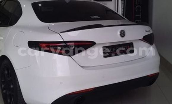 Buy Used Alfa Romeo Giulia White Car in Windhoek in Namibia Buy Used Alfa Romeo Giulia White Car in Windhoek in Namibia