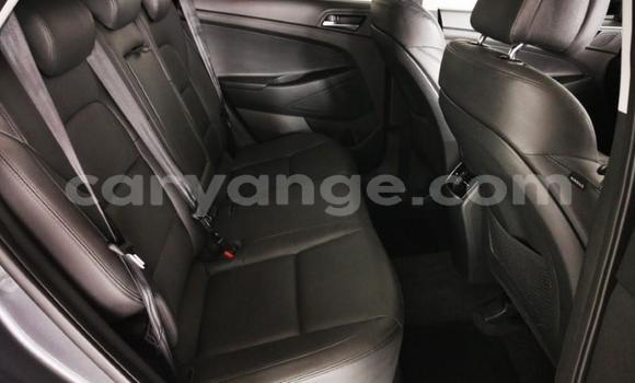 Acheter Occasion Voiture Hyundai Tucson Gris à Windhoek, Namibie Acheter Occasion Voiture Hyundai Tucson Gris à Windhoek, Namibie