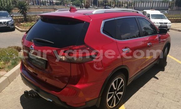 Buy Used Nissan X–Trail Red Car in Windhoek in Namibia Buy Used Nissan X–Trail Red Car in Windhoek in Namibia