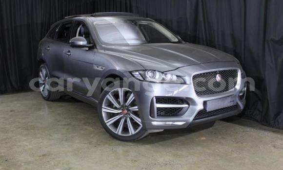 Buy Used Jaguar F-Pace Other Car in Gobabis in Omaheke