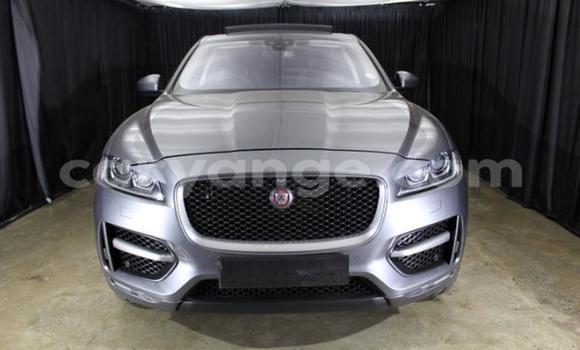 Buy Used Jaguar F-Pace Other Car in Gobabis in Omaheke Buy Used Jaguar F-Pace Other Car in Gobabis in Omaheke