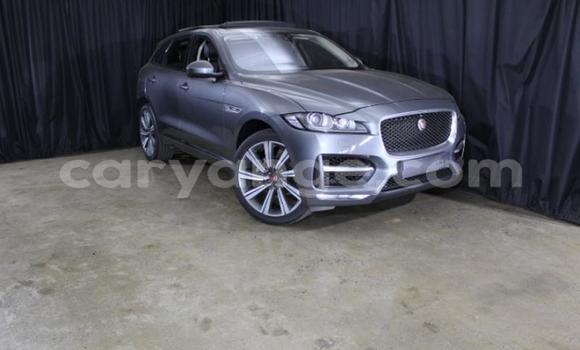 Buy Used Jaguar F-Pace Other Car in Gobabis in Omaheke Buy Used Jaguar F-Pace Other Car in Gobabis in Omaheke