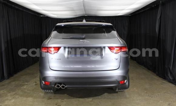Buy Used Jaguar F-Pace Other Car in Gobabis in Omaheke Buy Used Jaguar F-Pace Other Car in Gobabis in Omaheke