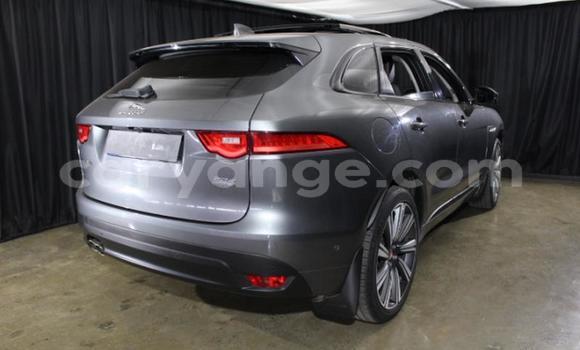 Buy Used Jaguar F-Pace Other Car in Gobabis in Omaheke Buy Used Jaguar F-Pace Other Car in Gobabis in Omaheke