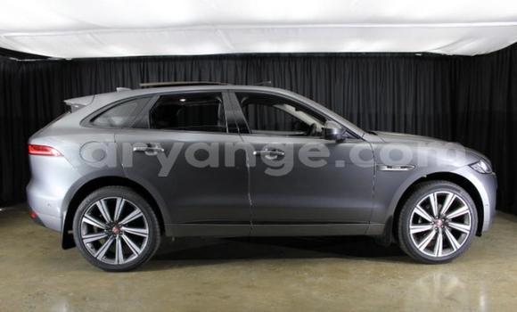 Buy Used Jaguar F-Pace Other Car in Gobabis in Omaheke Buy Used Jaguar F-Pace Other Car in Gobabis in Omaheke