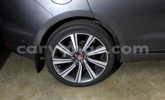 Buy Used Jaguar F-Pace Other Car in Gobabis in Omaheke Buy Used Jaguar F-Pace Other Car in Gobabis in Omaheke