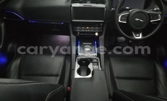 Buy Used Jaguar F-Pace Other Car in Gobabis in Omaheke Buy Used Jaguar F-Pace Other Car in Gobabis in Omaheke