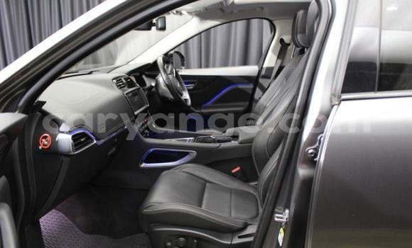 Buy Used Jaguar F-Pace Other Car in Gobabis in Omaheke Buy Used Jaguar F-Pace Other Car in Gobabis in Omaheke