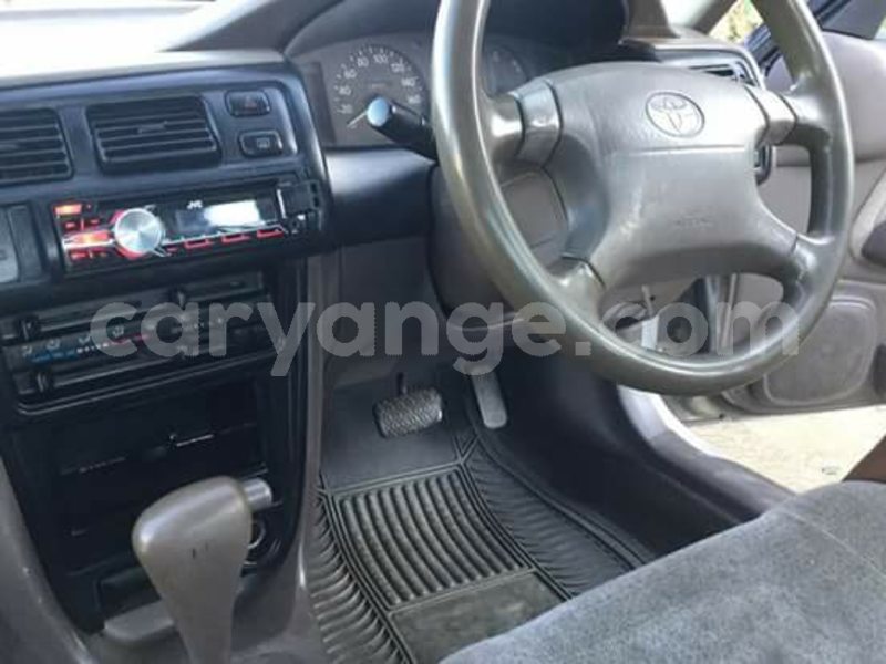 Big with watermark 30629329 194112211393369 244064733525704704 n