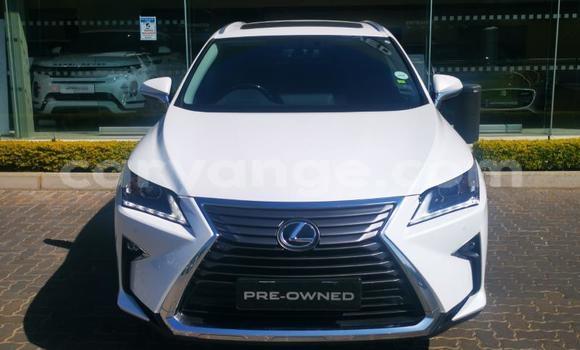Buy Used Lexus RX White Car in Gobabis in Omaheke Buy Used Lexus RX White Car in Gobabis in Omaheke