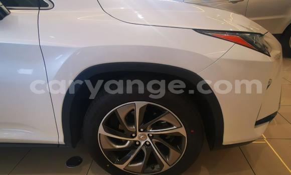 Buy Used Lexus RX White Car in Gobabis in Omaheke Buy Used Lexus RX White Car in Gobabis in Omaheke