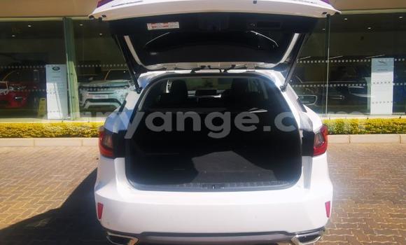 Buy Used Lexus RX White Car in Gobabis in Omaheke Buy Used Lexus RX White Car in Gobabis in Omaheke