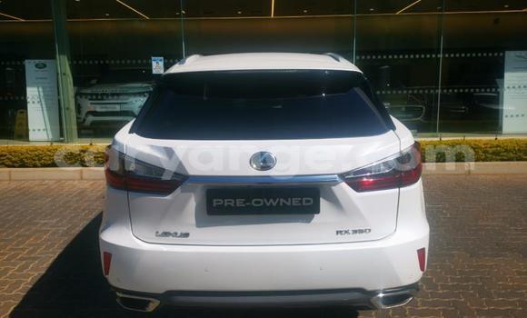 Buy Used Lexus RX White Car in Gobabis in Omaheke Buy Used Lexus RX White Car in Gobabis in Omaheke