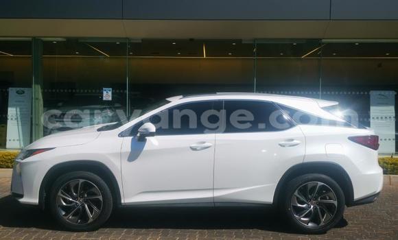 Buy Used Lexus RX White Car in Gobabis in Omaheke Buy Used Lexus RX White Car in Gobabis in Omaheke